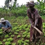 land-rights