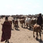 Pastoralism