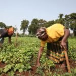 bold-future-of-farming