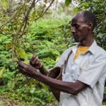 contribution-of-agroecology