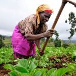 strengthening-land-rights