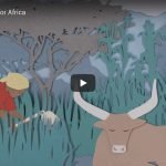 afsa-video