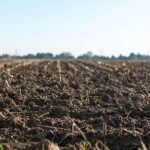 land-rights
