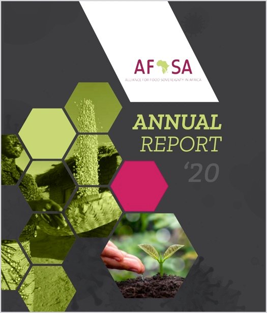 AFSA Annual report 2020