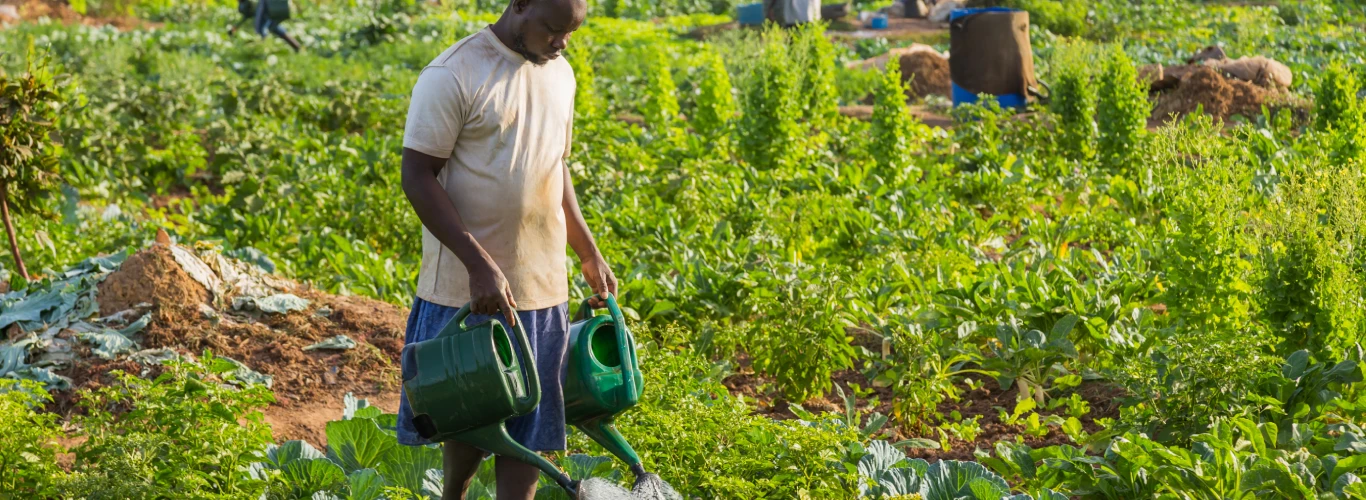 agroecology agroecology