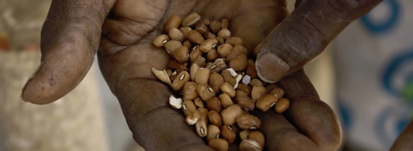 seed-is-life seed-is-life
