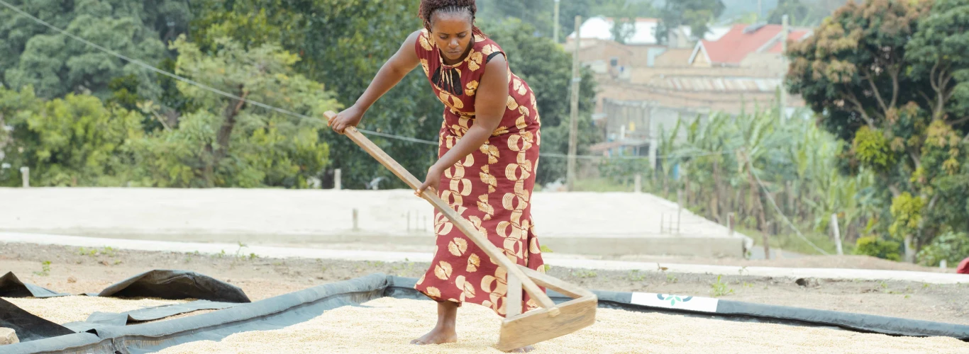 scaling-up-practices-in-agroecology