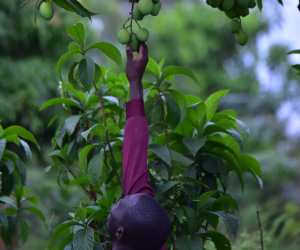 small-agroecology